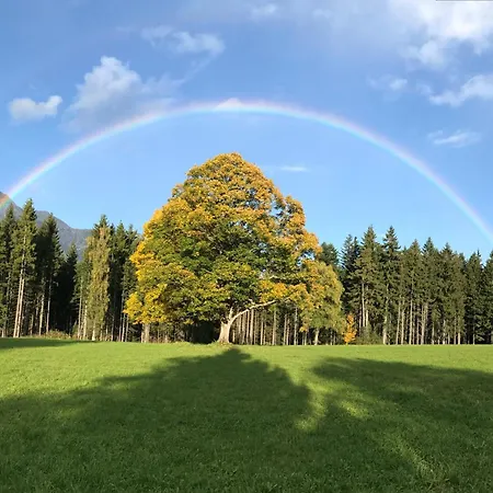 Kraftplatz Am Dachstein - Herold - Für Ruhesuchende Und Sportlich Aktive