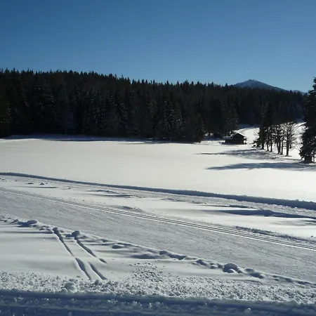 Kraftplatz Am Dachstein - Herold - Fuer Ruhesuchende Und Sportlich Aktive Рамзау-ам-Дахштайн