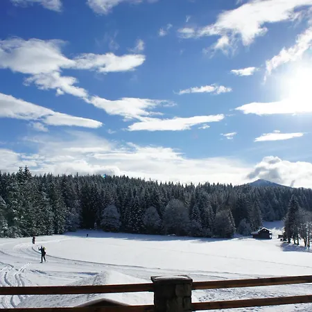 Kraftplatz Am Dachstein - Herold - Für Ruhesuchende Und Sportlich Aktive Ramsau am Dachstein