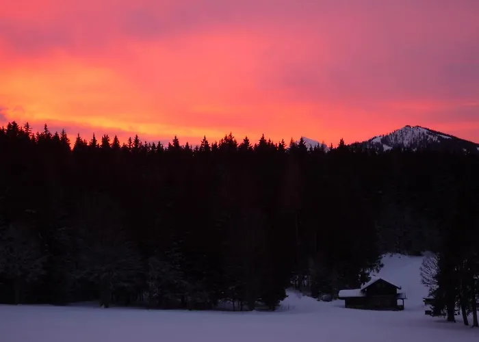 Kraftplatz Am Dachstein - Herold - Fuer Ruhesuchende Und Sportlich Aktive 3*